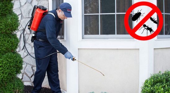 Beyşehir Kemirgen İlaçlama böcek ilaçlama ve haşere kontrolü — ilaclama-tr.com